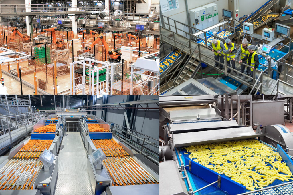 Hijolusa consolida su crecimiento con 35 millones de euros en inversiones y una facturación de 244 millones en 2024