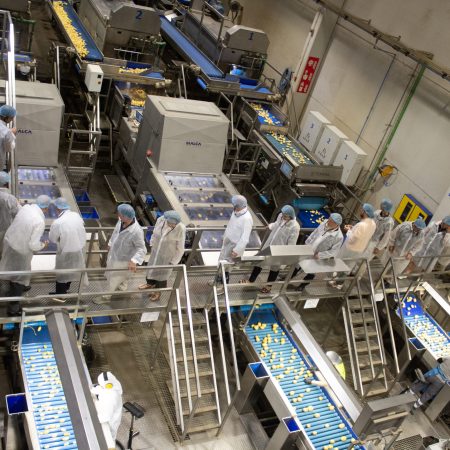 Visita-CEOs_MARCA-INNOVACION_Somos-Hijolusa_11_30jun26