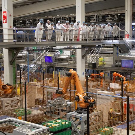 Visita-CEOs_MARCA-INNOVACION_Somos-Hijolusa_12_30jun26