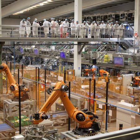 Visita-CEOs_MARCA-INNOVACION_Somos-Hijolusa_13_30jun26