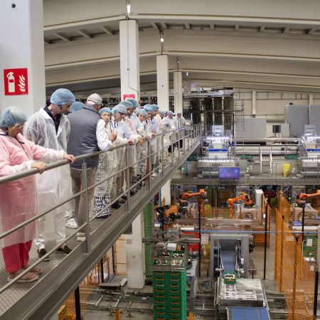 Visita-CEOs_MARCA-INNOVACION_Somos-Hijolusa_18_30jun26