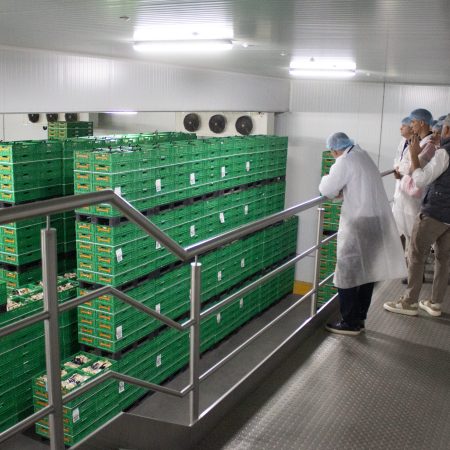 Visita-CEOs_MARCA-INNOVACION_Somos-Hijolusa_23_30jun26