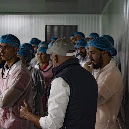Visita-CEOs_MARCA-INNOVACION_Somos-Hijolusa_24_30jun26