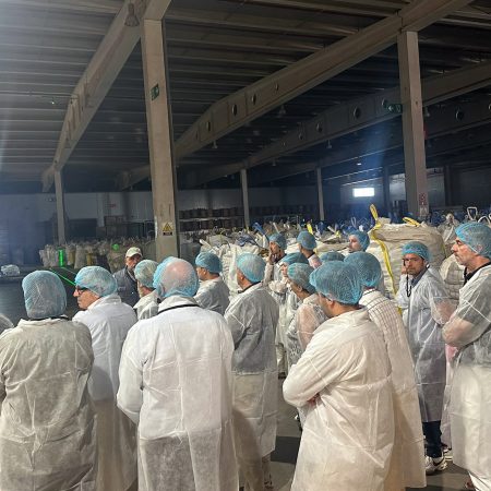 Visita-CEOs_MARCA-INNOVACION_Somos-Hijolusa_27_30jun26