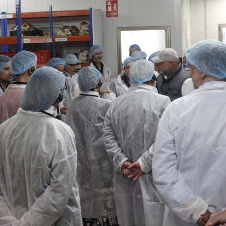 Visita-CEOs_MARCA-INNOVACION_Somos-Hijolusa_2_30jun26