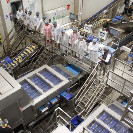 Visita-CEOs_MARCA-INNOVACION_Somos-Hijolusa_7_30jun26
