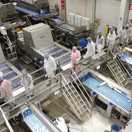 Visita-CEOs_MARCA-INNOVACION_Somos-Hijolusa_8_30jun26