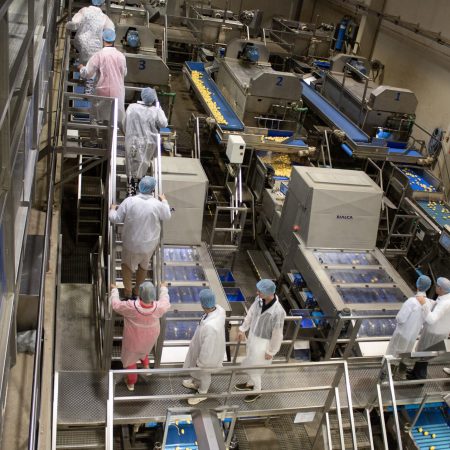 Visita-CEOs_MARCA-INNOVACION_Somos-Hijolusa_9_30jun26
